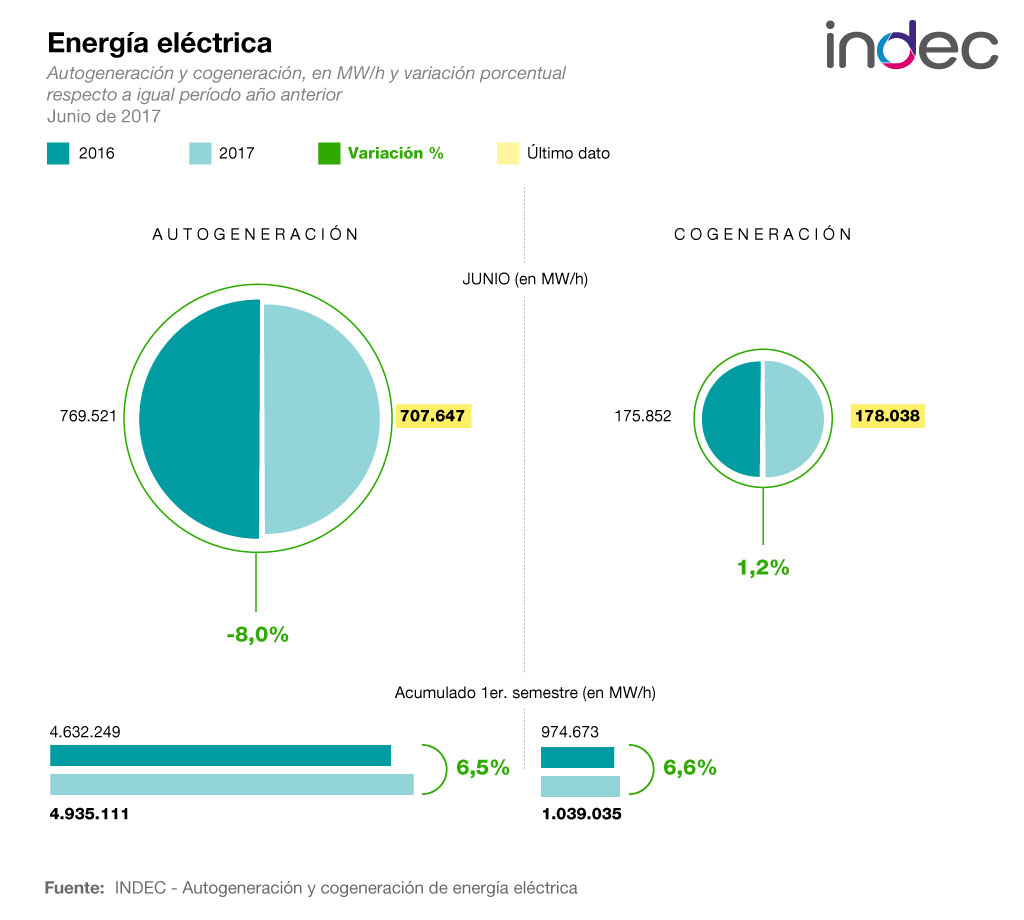Autogeneración y cogeneración de energía eléctrica. Variación porcentual respecto a igual período del año anterior. Junio de 2017.